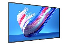 Профессиональный дисплей Philips [65BDL3650Q/00] 3840х2160, 1200:1, 400кд/м2, Android 10
